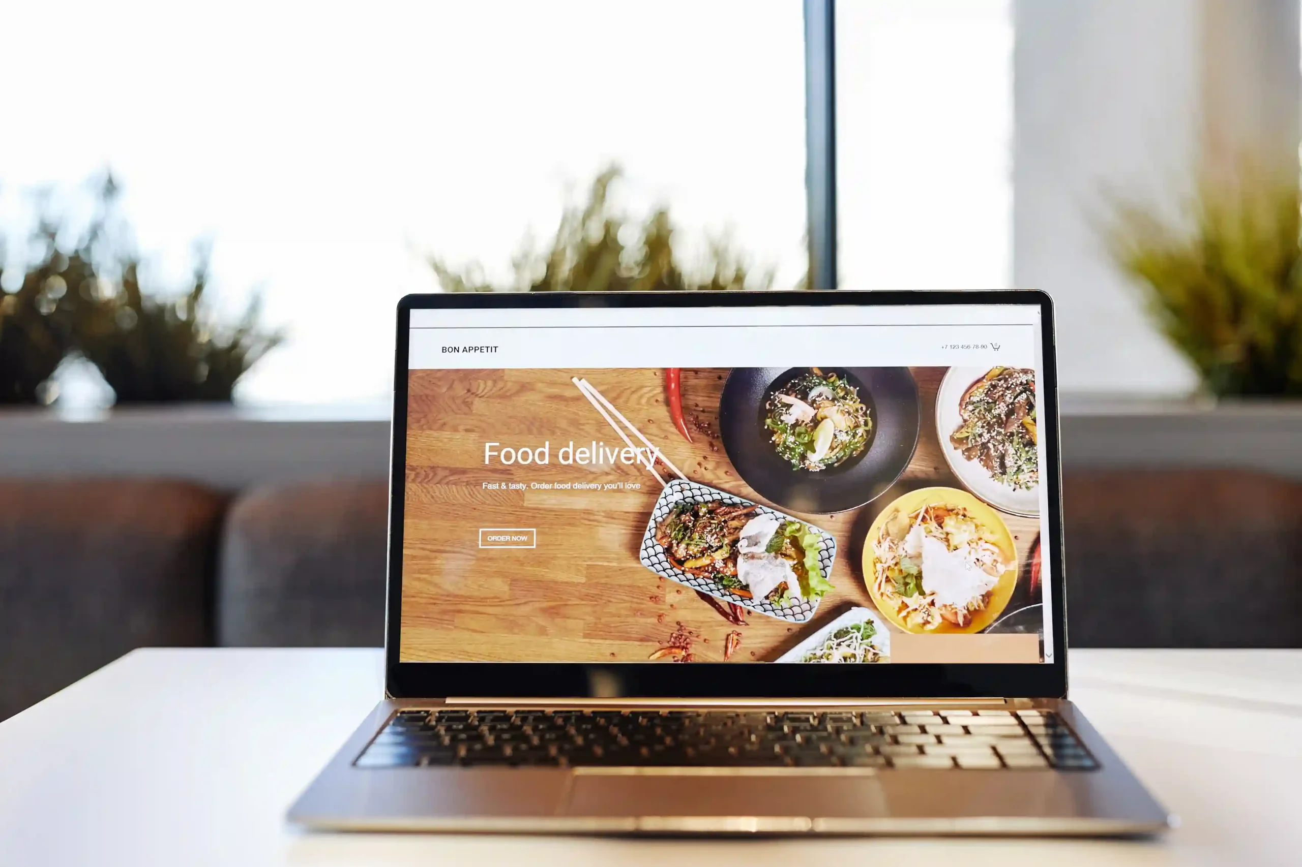web design services in dubai | creative dream designs